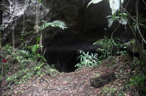 Cave mouth